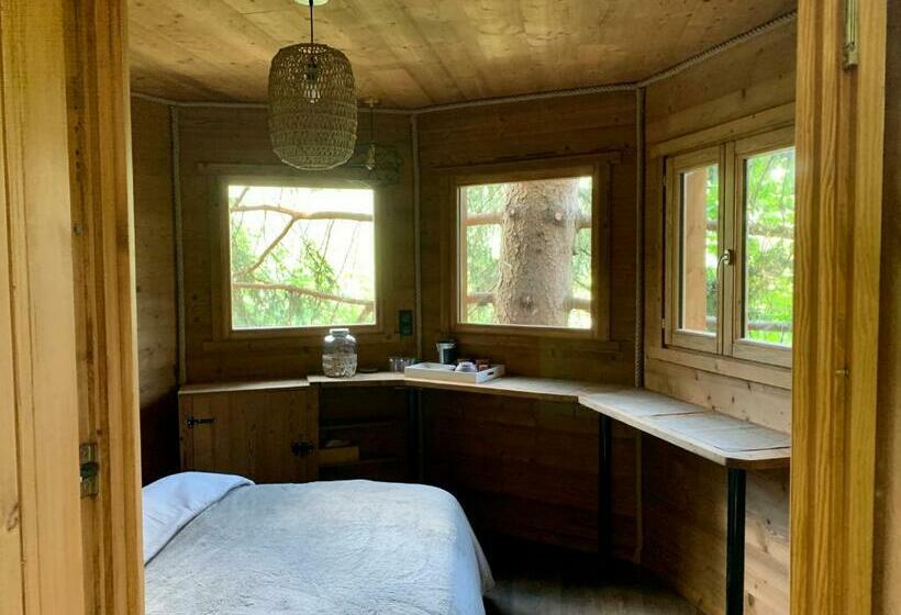 Bed and Breakfast Cabane Dans Las Arbres   Valmo Insolite