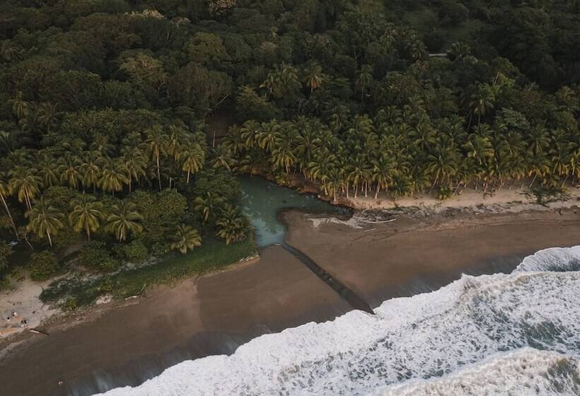 ベッドアンドブレックファースト Zunya