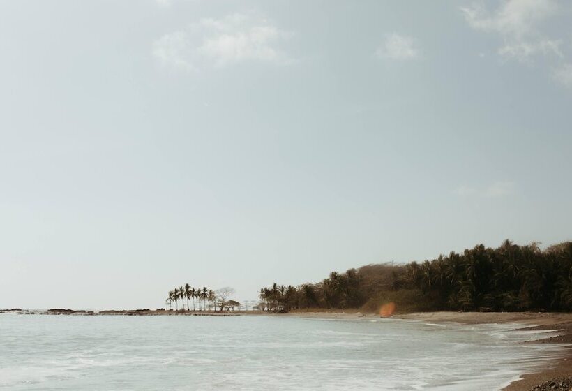 ベッドアンドブレックファースト Zunya