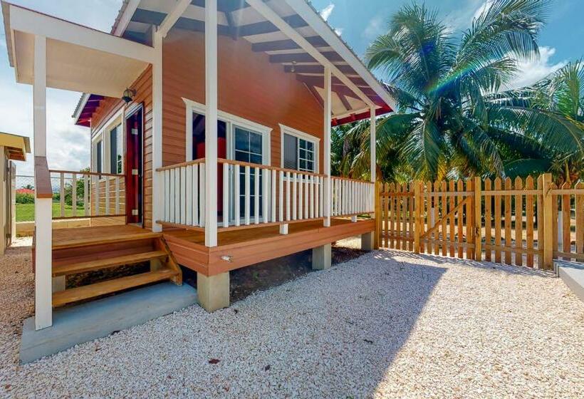 בית מלון כפרי Came At Hummingbird Estate Gold Standard Certified