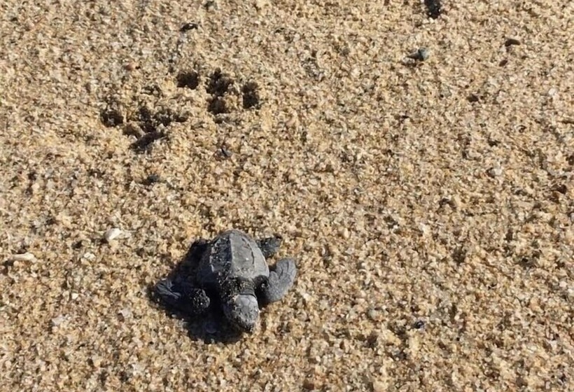 호텔 Desierto Azul