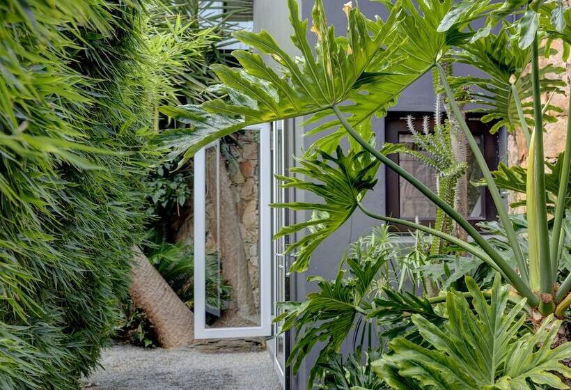 هتل Future Found Sanctuary In Hout Bay By Newmark