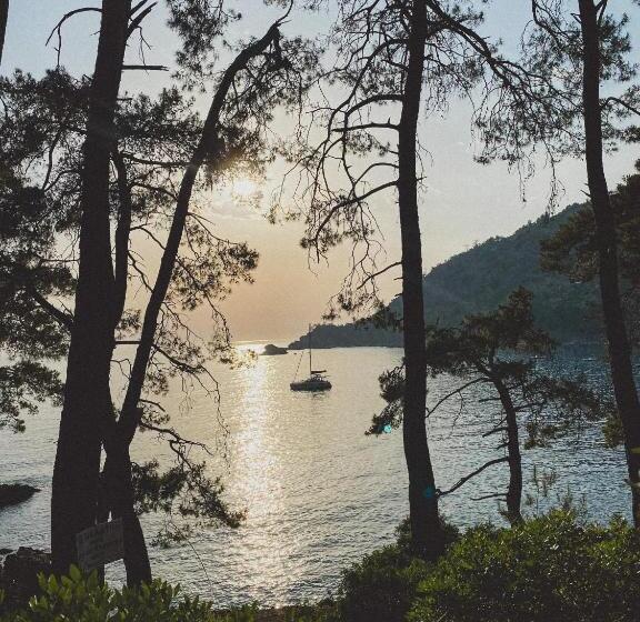 فندق Kabak ütopya Suites