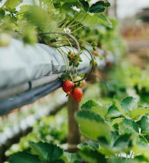 فندق Le Vert Boutique