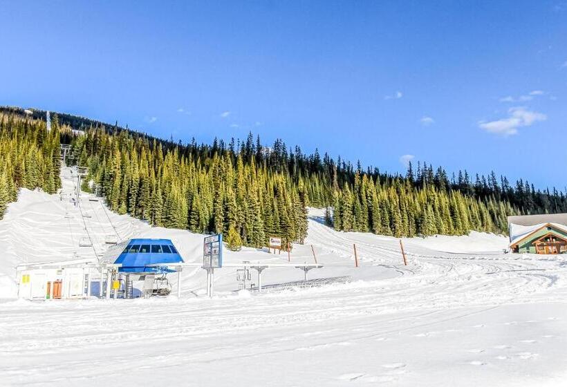 Отель Tree Tops 16