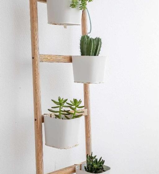 Le Family Palms My Home