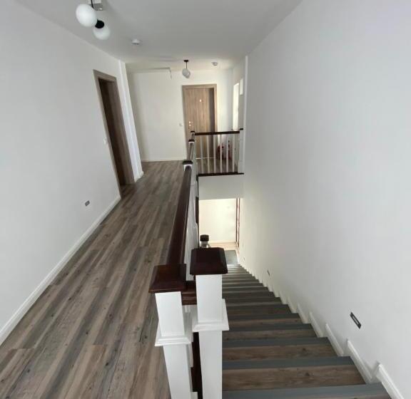 膳宿费 Alpin House Colibita