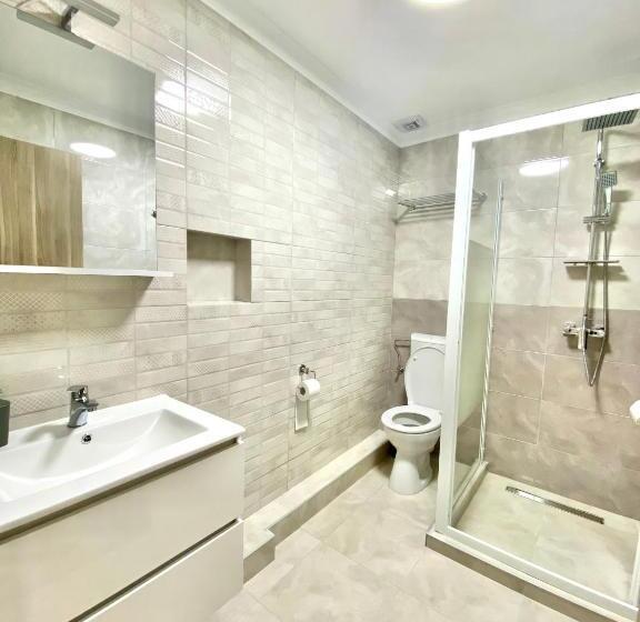 膳宿费 Alpin House Colibita