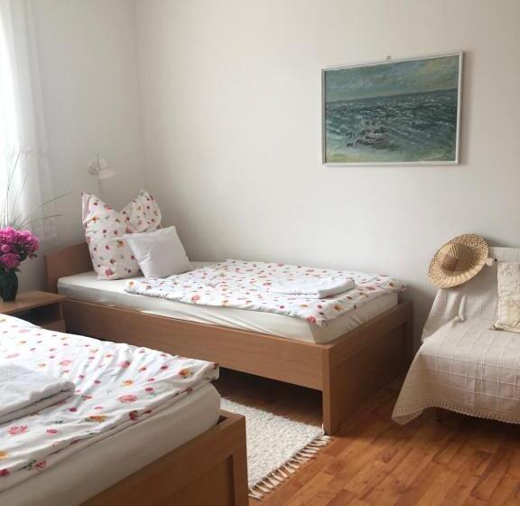 بنسيون Balaton Vendégház Paloznak