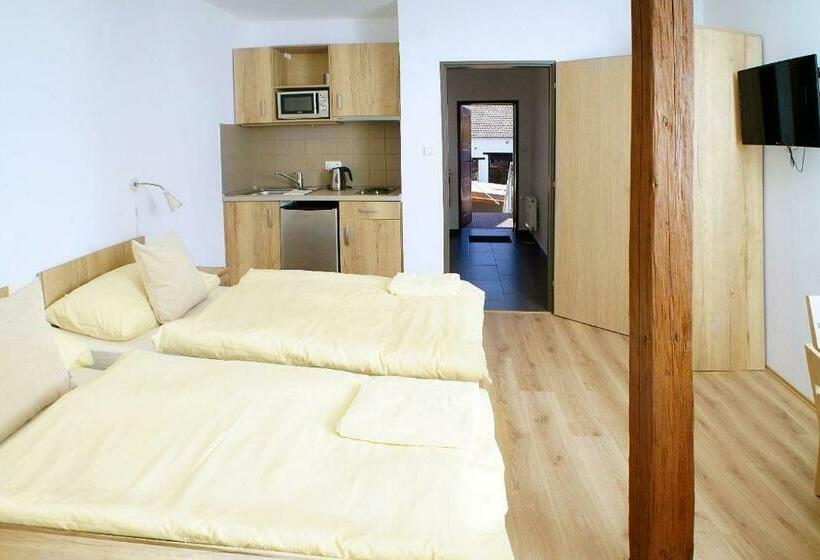 펜션 Penziony Hnanice