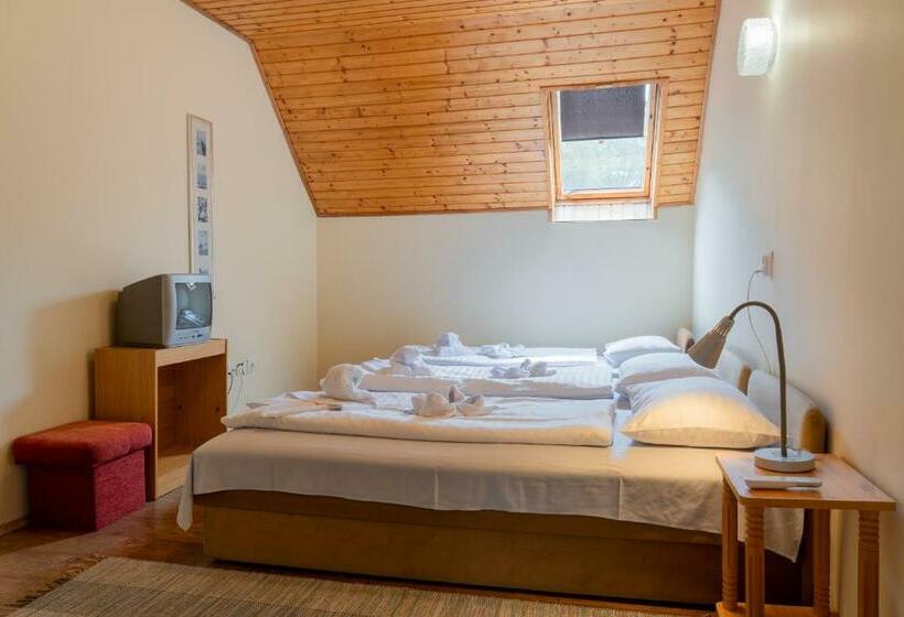 بنسيون Sylvia Ház