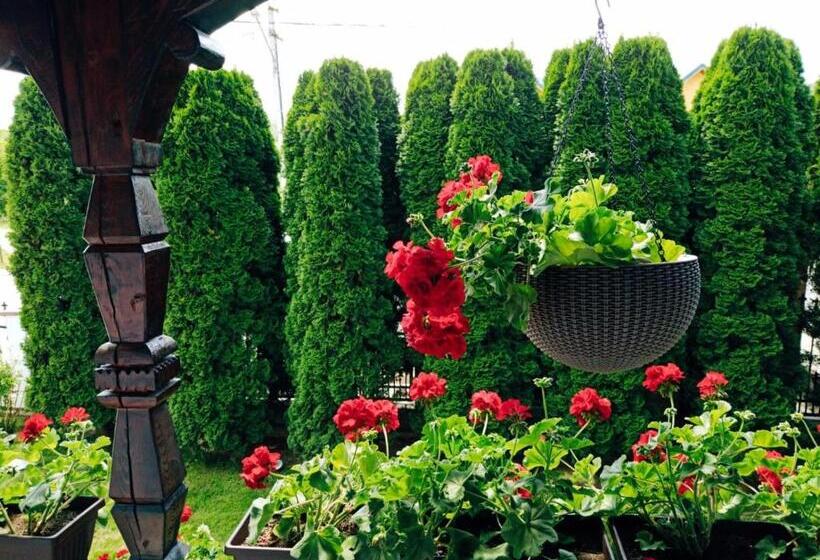 Pensiunea Casa Andreea   Bârsana Maramureș