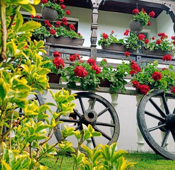 Pensiunea Casa Andreea   Bârsana Maramureș