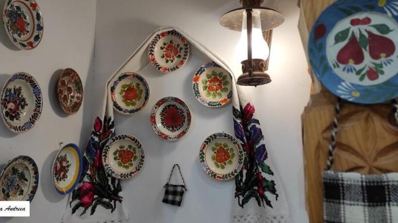 Pensiunea Casa Andreea   Bârsana Maramureș