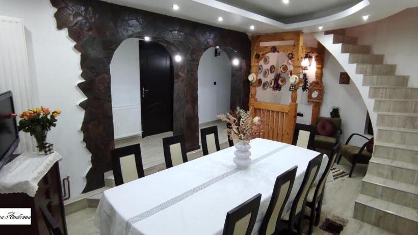 Pensiunea Casa Andreea   Bârsana Maramureș
