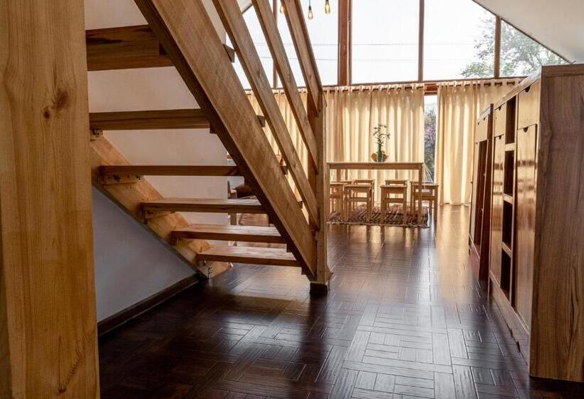 هاستل Modern Loft Lighthouse