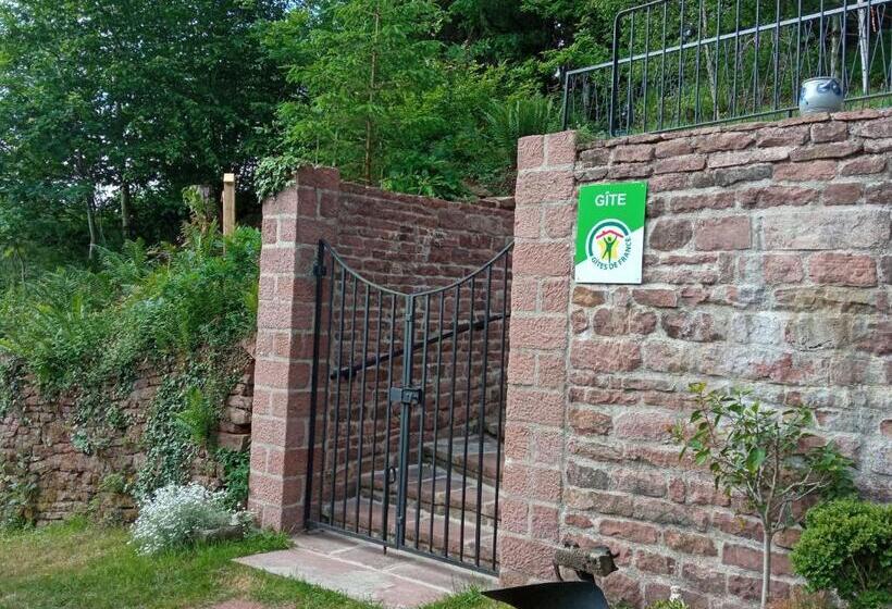 Spacieux Gîte Vosgien 3 épis Pour 4 Pers, Randonnées Et Vtt, Environnement Calme Et Verdoyant   Fr 1