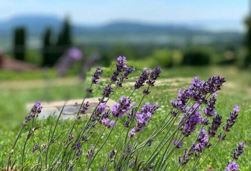 Balaton Home With A Majestic View