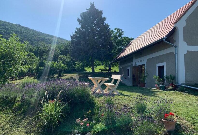 Balaton Home With A Majestic View