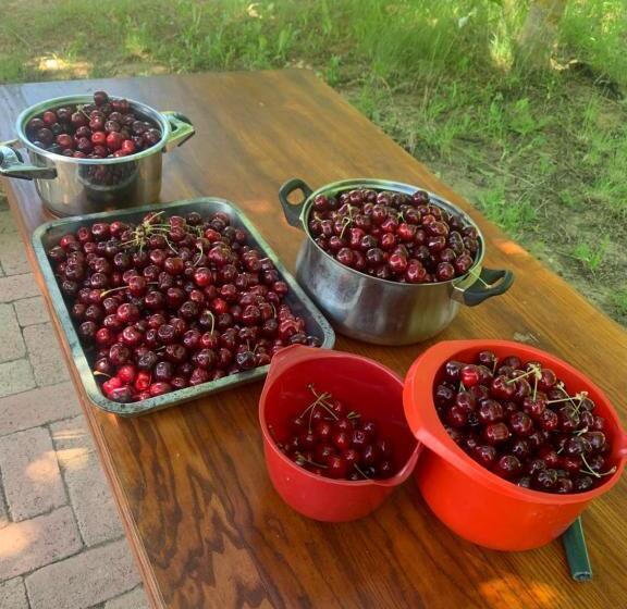 Balaton Home With A Majestic View