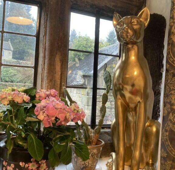 Bed and Breakfast Riber Hall Manor