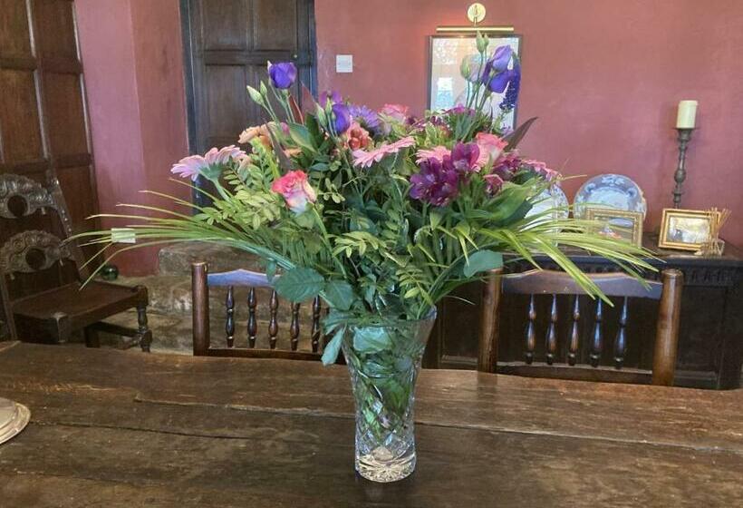 Bed and Breakfast Riber Hall Manor