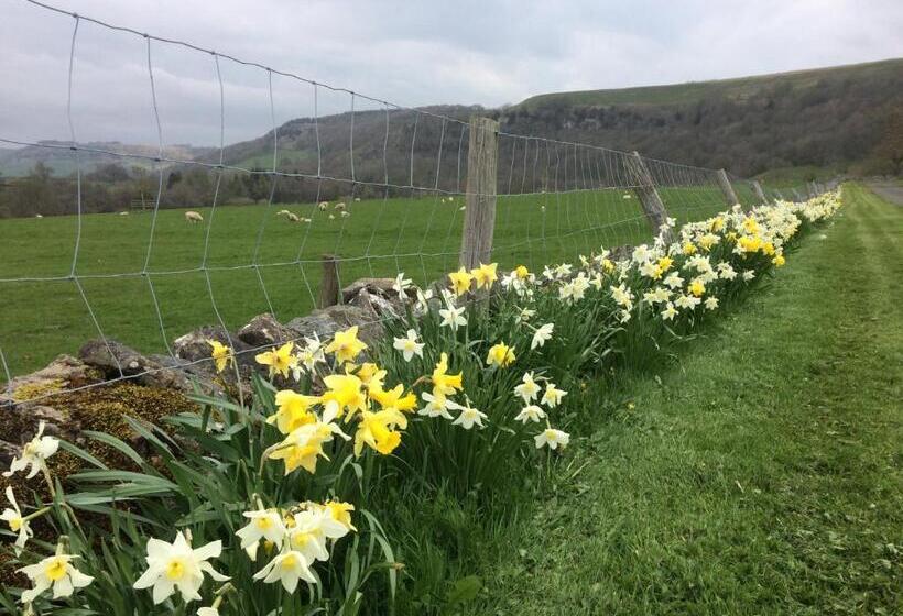 Ellerton Lodge Bed And Breakfast Swaledale