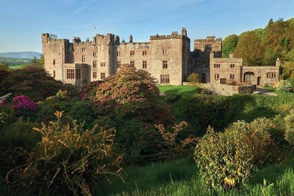 Ground Floor Apartment Twin King Bed Option Free Off Street Parking