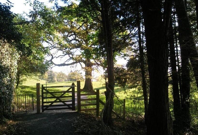 Ground Floor Apartment Twin King Bed Option Free Off Street Parking