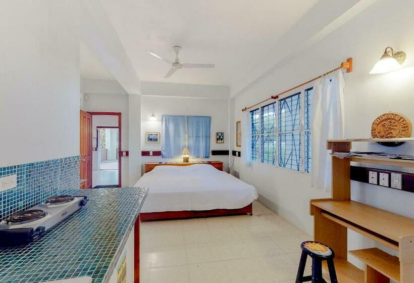 בית מלון כפרי Garden @ Casa Nettuno