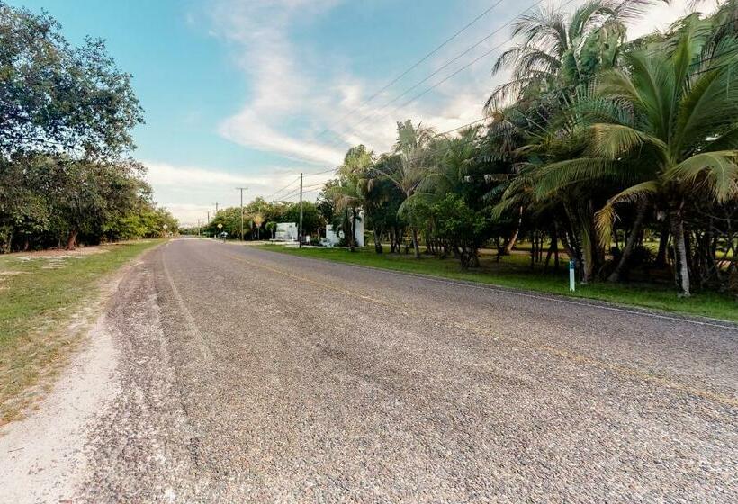 בית מלון כפרי Garden @ Casa Nettuno
