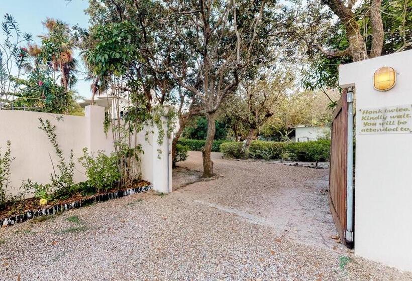 בית מלון כפרי Garden @ Casa Nettuno