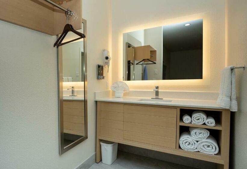 호텔 Palace Inn Blue Iah East