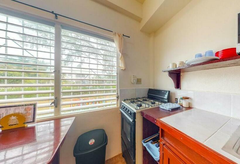 Отель Palmetto#1 @ Island Cabanas