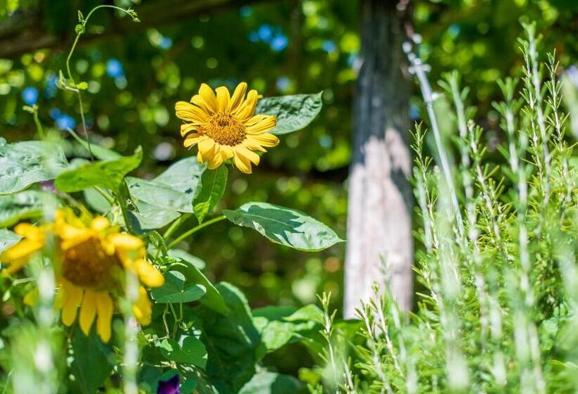 호텔 Sandhof Ferienwohnungen