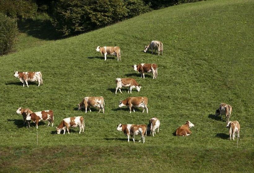 בית מלון כפרי Zasserlhof Familie Bamberger