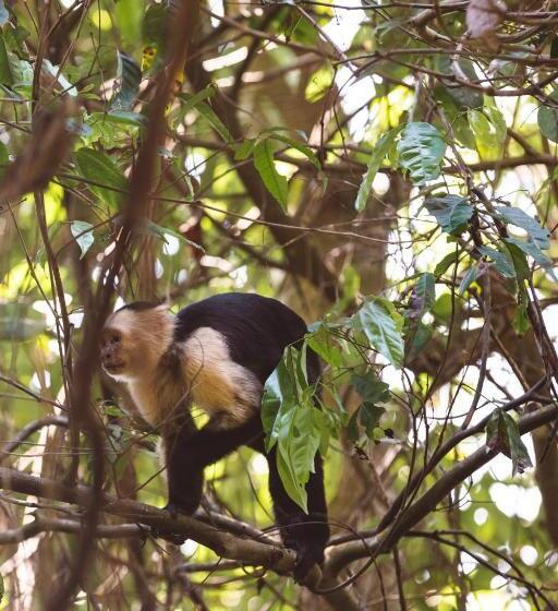 Kunken Boutique Hotel & Spa