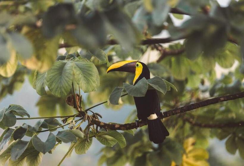 Kunken Boutique Hotel & Spa