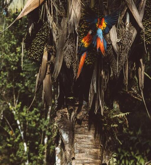 Kunken Boutique Hotel & Spa