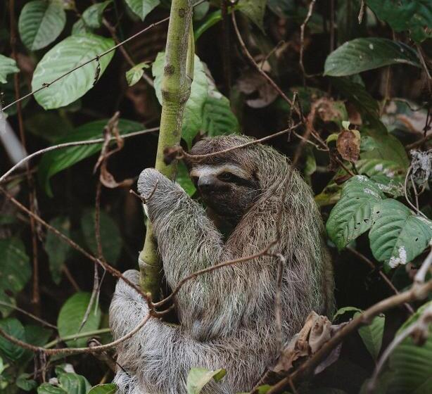 Kunken Boutique Hotel & Spa