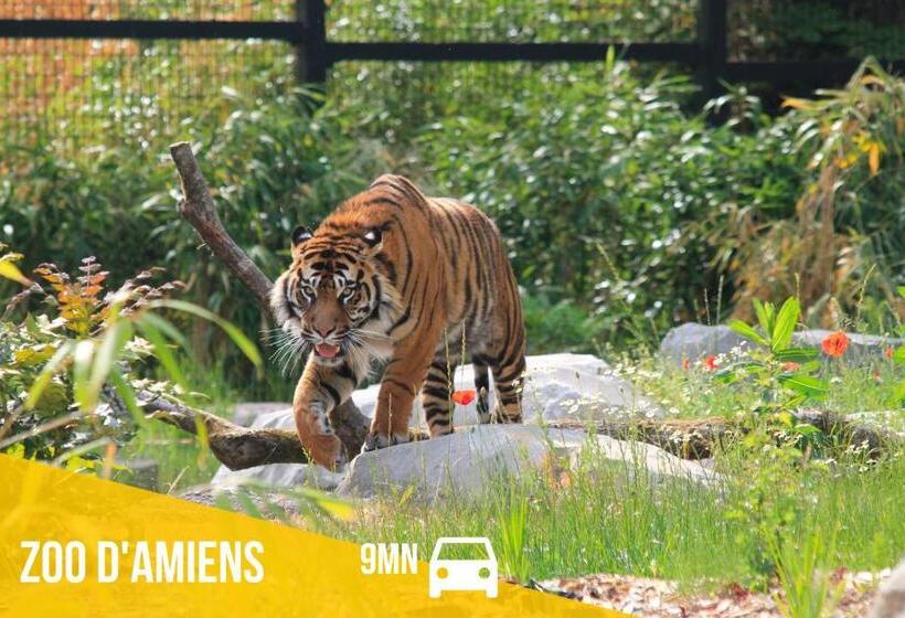 Le Rivage D Or   75m2   Parking Privé   Familial