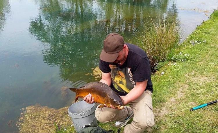 Les Insolites Du Brochet