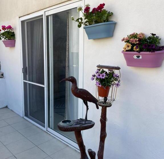 Olivier House Mellieha