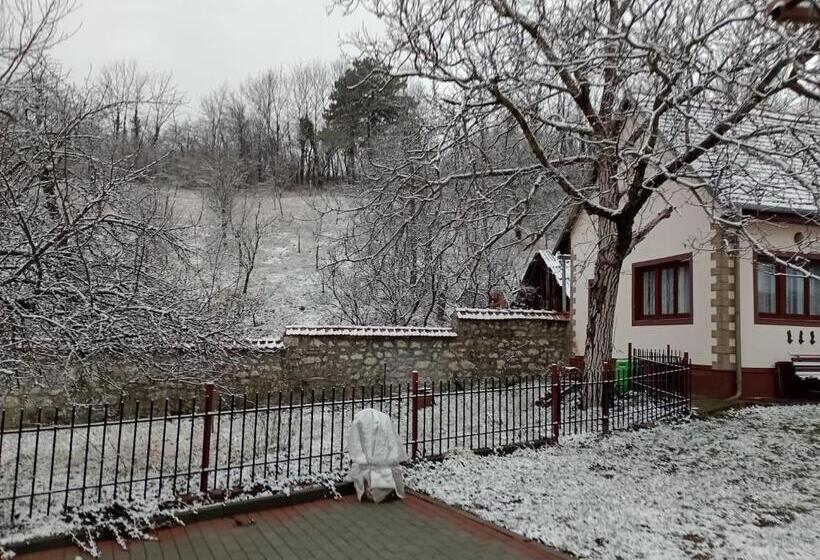 膳宿费 Casa Dragoi Din Socolari, Caras Severin