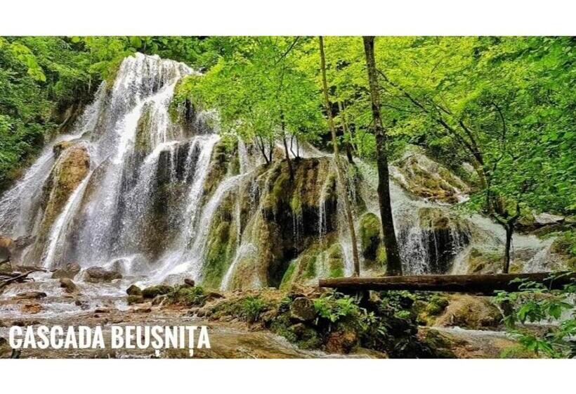 膳宿费 Casa Dragoi Din Socolari, Caras   Severin