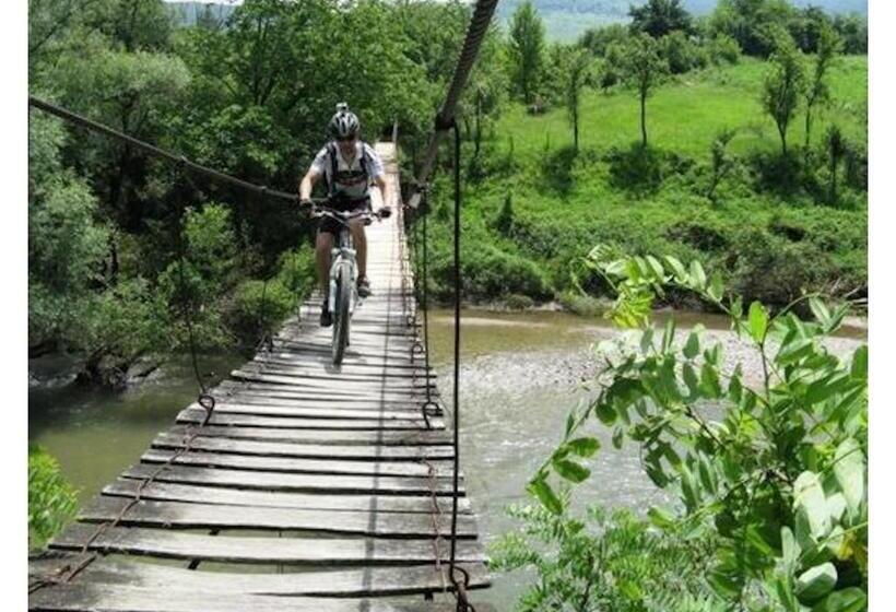 膳宿费 Casa Dragoi Din Socolari, Caras   Severin