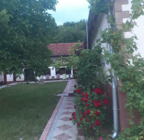 膳宿费 Casa Dragoi Din Socolari, Caras   Severin