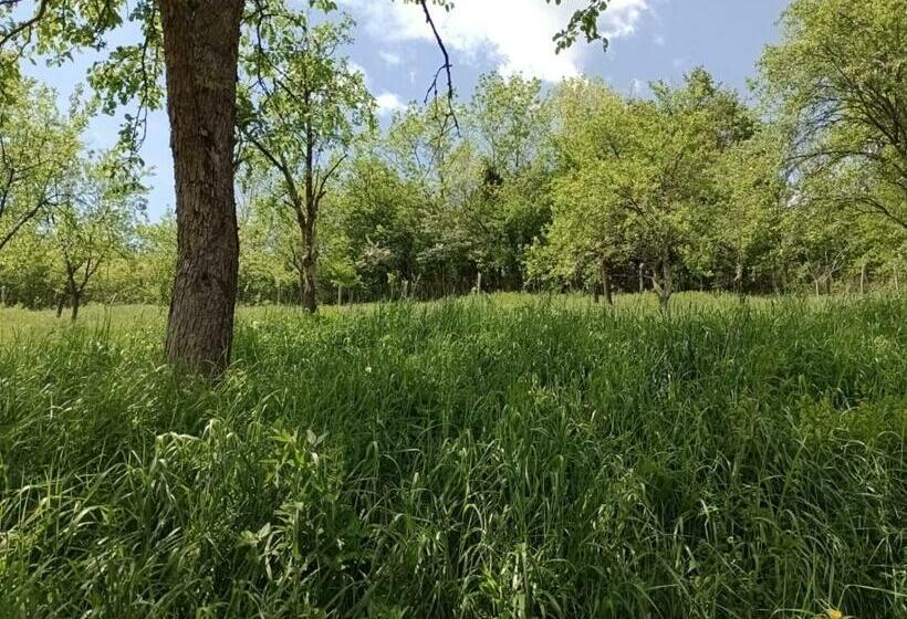 膳宿费 Casa Dragoi Din Socolari, Caras   Severin