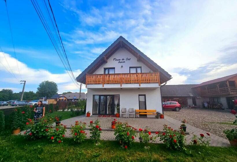 Пансион Floare De Colt Sapanta