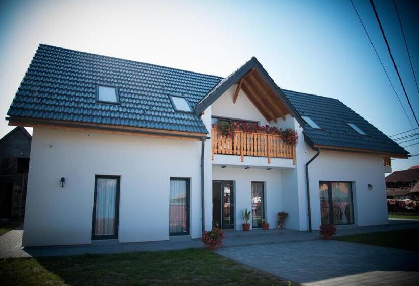 Пансион Floare De Colt Sapanta